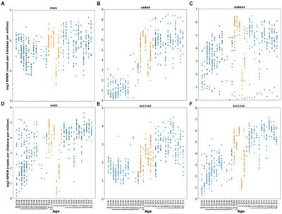 Neurodevelopment and early pharmacological interventions in Fragile X Syndrome